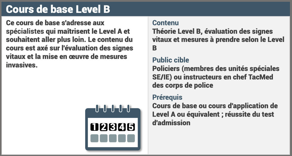 Level B